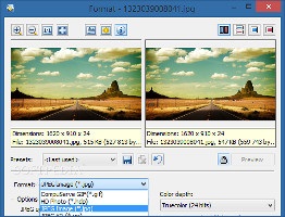 Showing the conversion options in Zoner Photo Studio